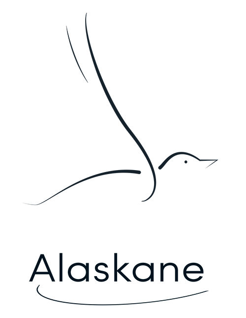 Alaskane edtech bordeaux